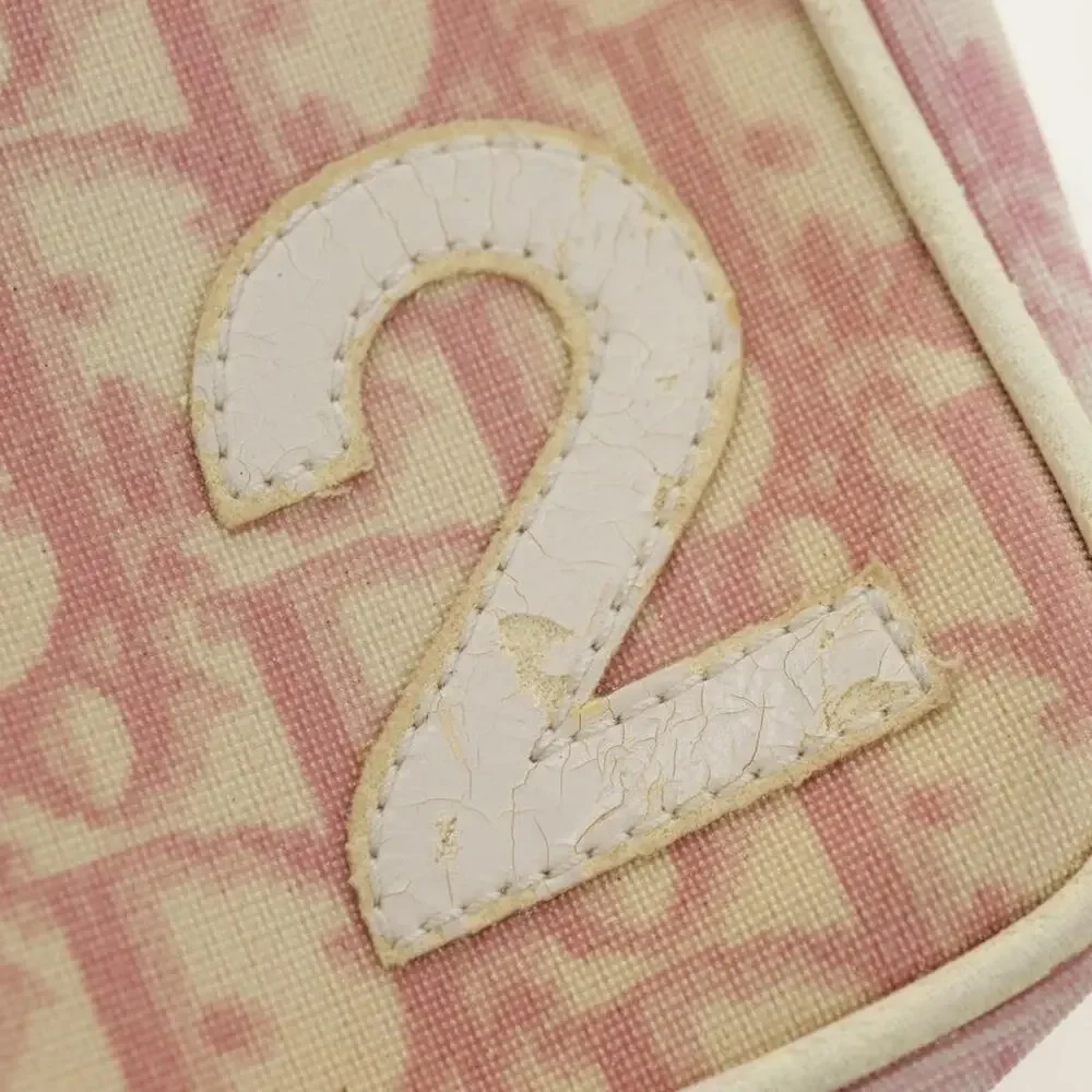 Dior Trotter Pouch Pink